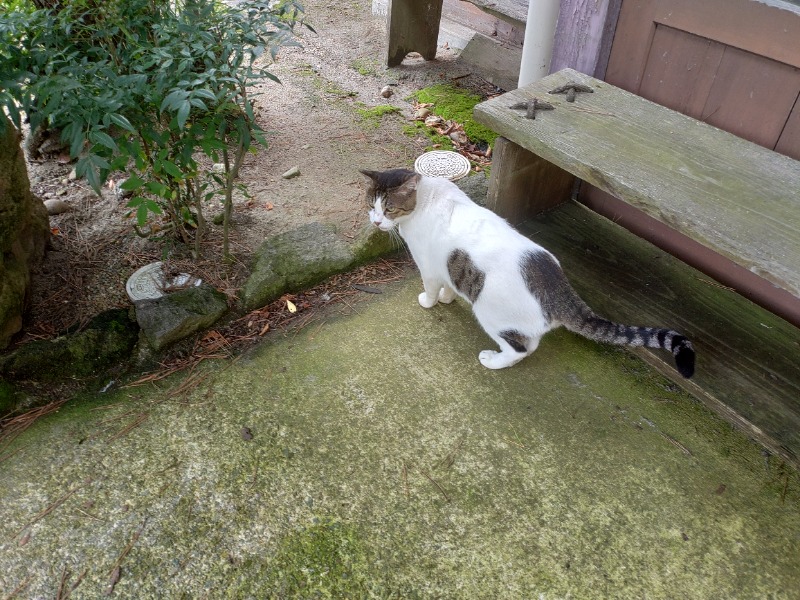 ゆき(･x･)えるさんの鳴子温泉 旅館すがわらのサ活写真