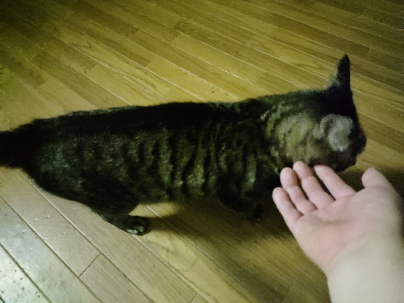 ゆき(･x･)えるさんの鳴子温泉 旅館すがわらのサ活写真