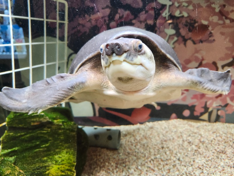 hayaminさんの松本湯のサ活写真