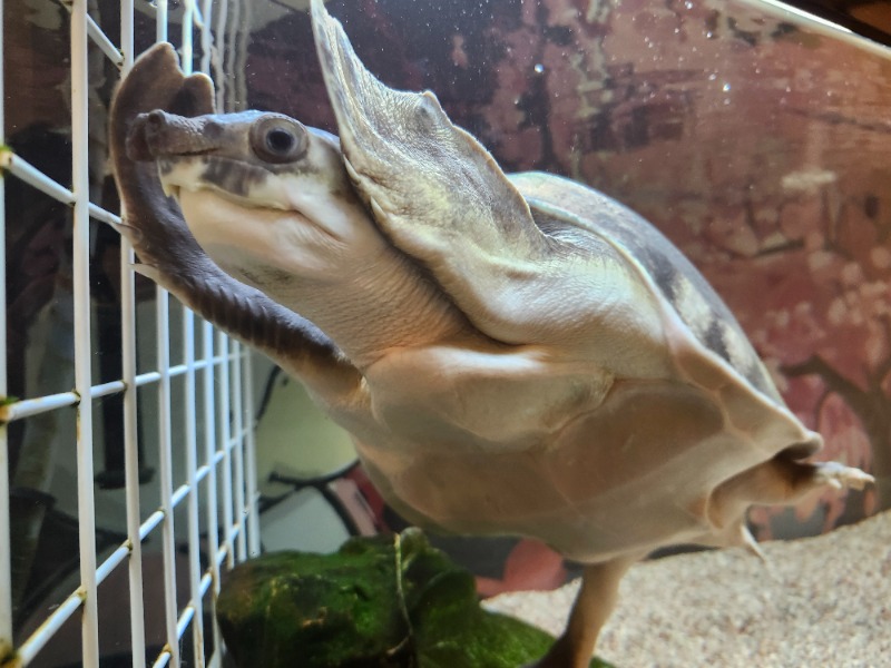 hayaminさんの松本湯のサ活写真