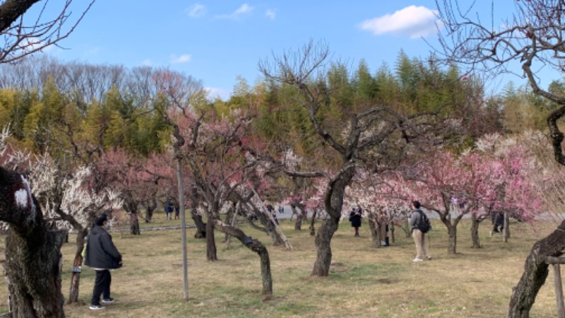 ゆき🍄さんの湯の森 深大湯のサ活写真