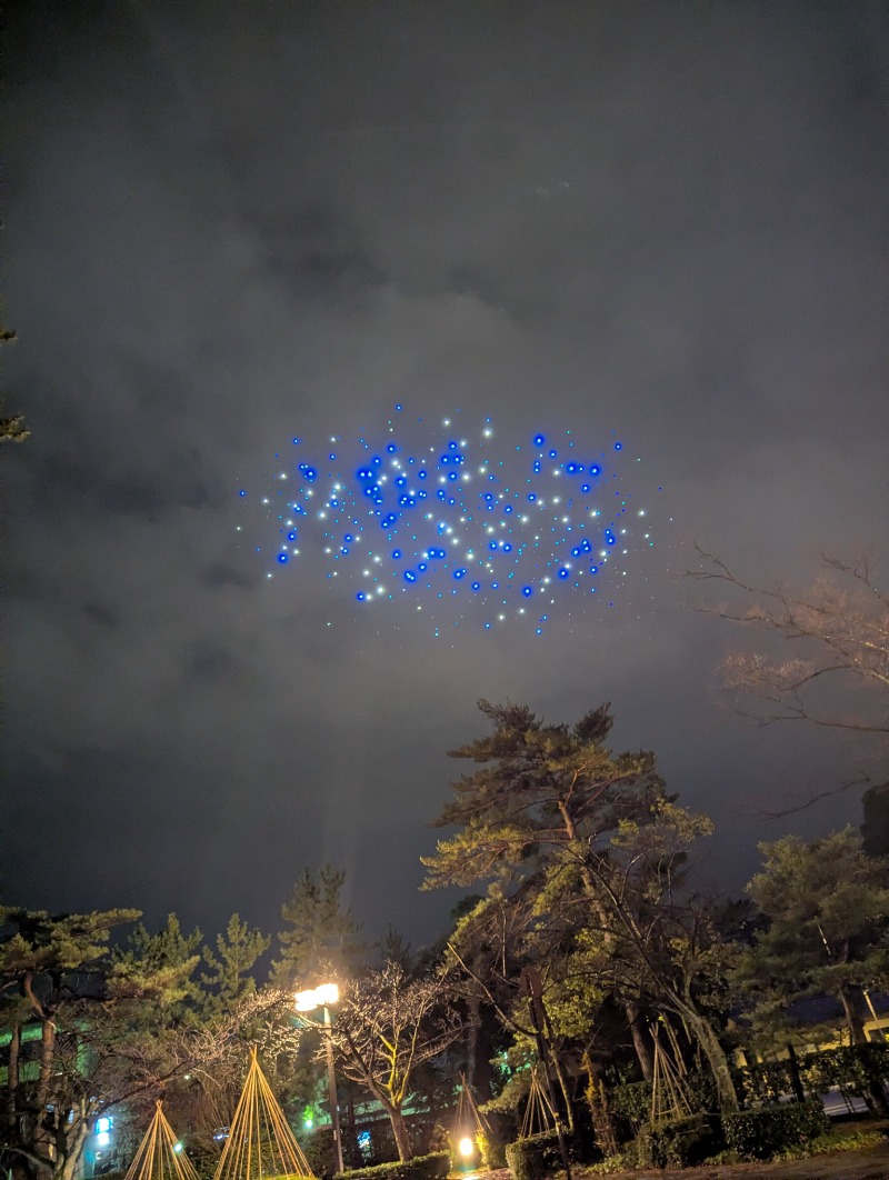 ふっくらすずめさんの兼六温泉のサ活写真