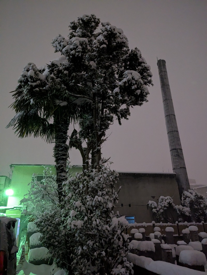 ふっくらすずめさんの兼六温泉のサ活写真