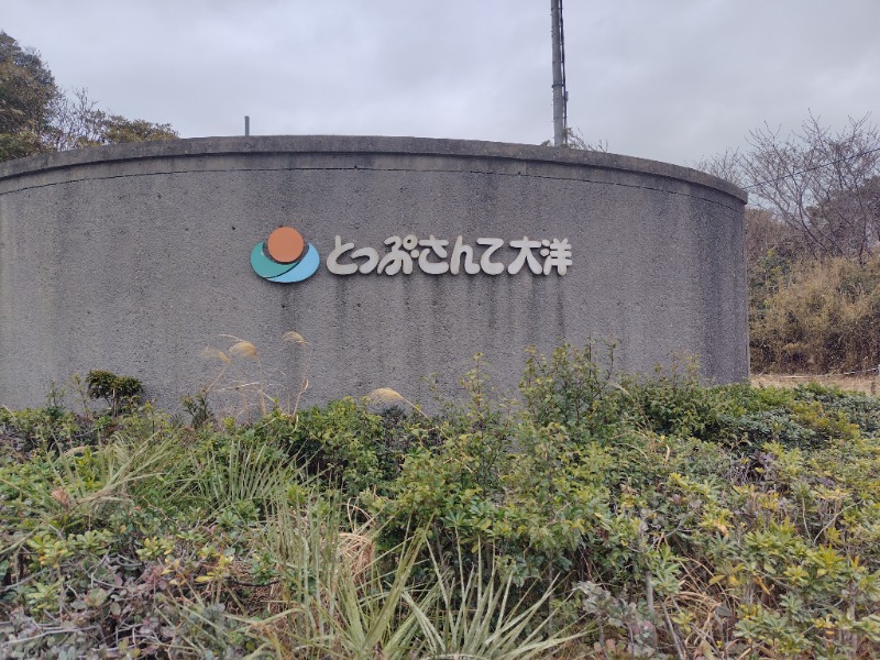 MasaF（まさえふ）さんのとっぷ・さんて大洋のサ活写真