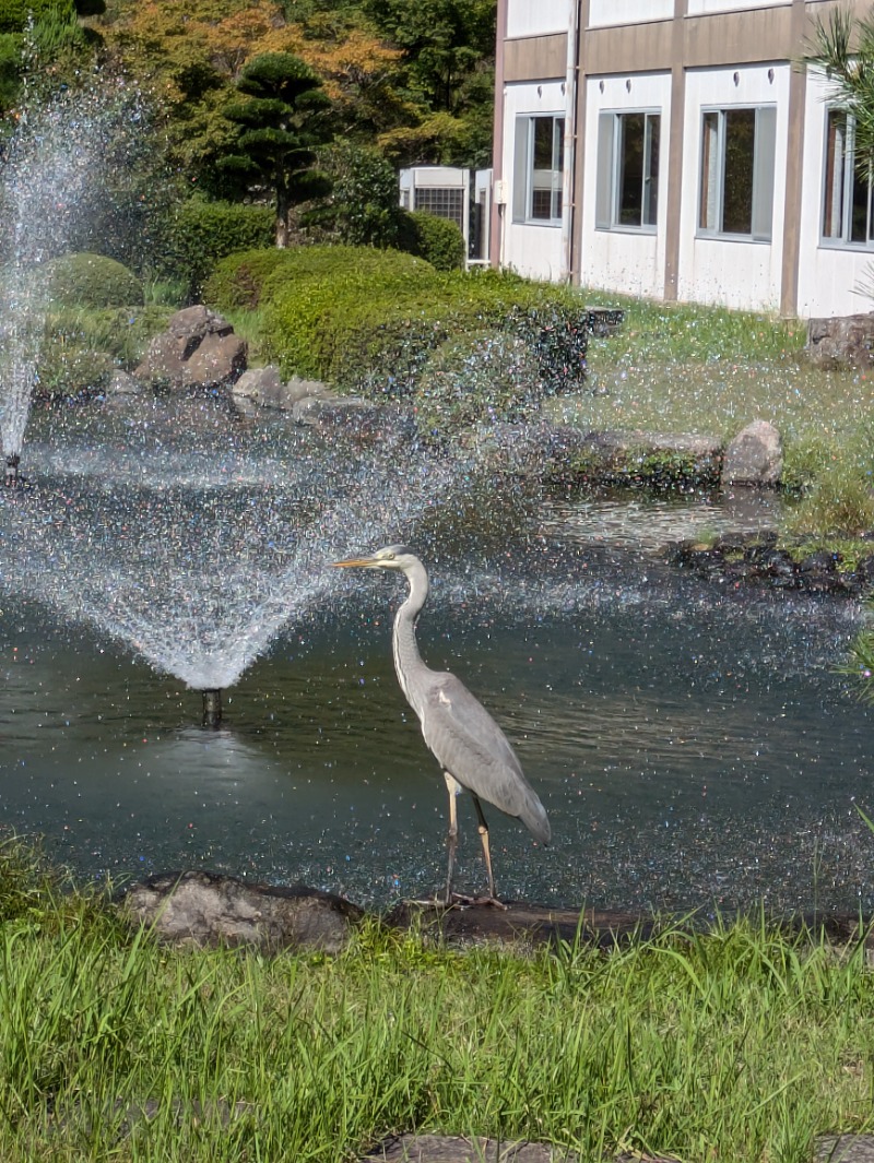 湯ーキャンスマイルさんの一の俣温泉グランドホテルのサ活写真