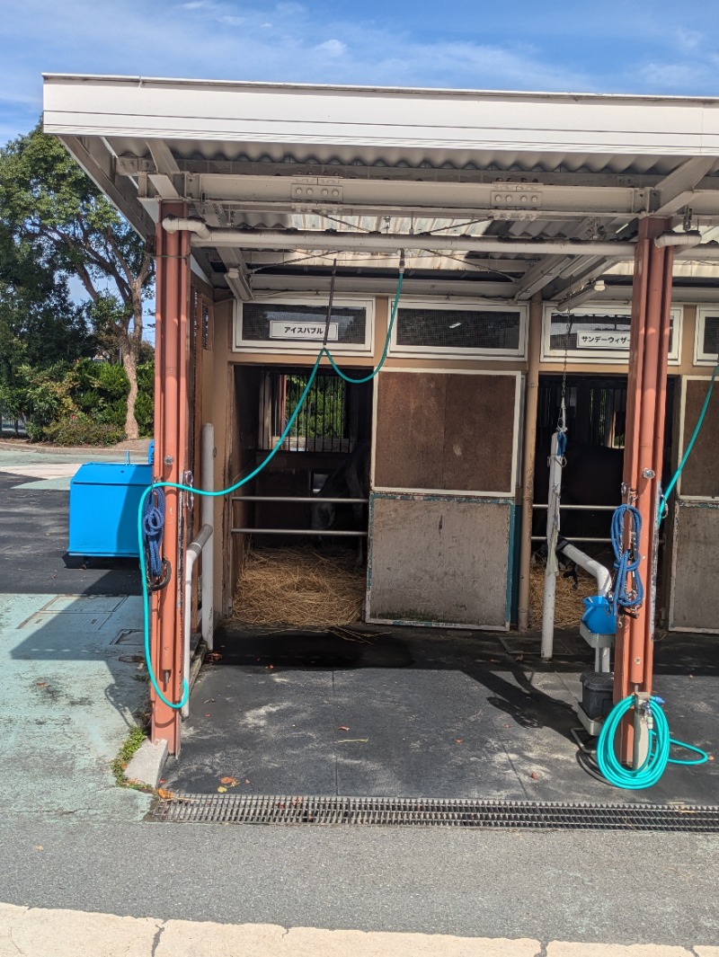 湯ーキャンスマイルさんのTHE VANISHのサ活写真