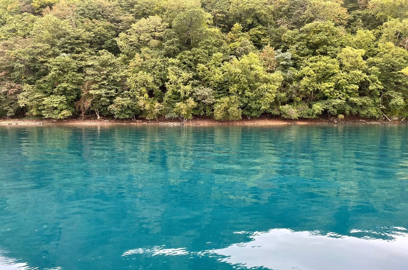 無心さんの湖畔の宿支笏湖 丸駒温泉旅館のサ活写真