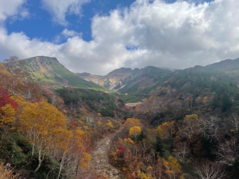 無心さんの十勝岳温泉 凌雲閣のサ活写真