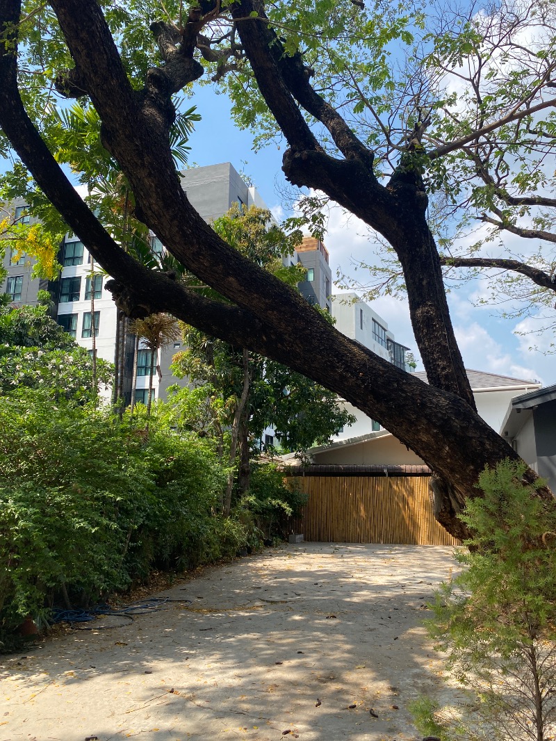 3Set SaunerさんのTotonoi Sauna&Onsen Bangkok -整-のサ活写真