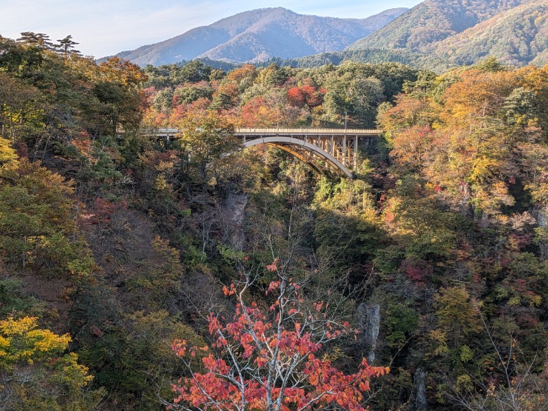 てるぴこさんの鳴子温泉 旅館すがわらのサ活写真