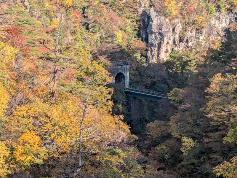 てるぴこさんの鳴子温泉 旅館すがわらのサ活写真