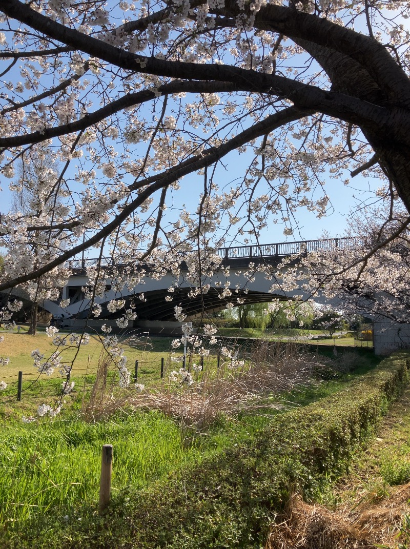ベンさんの手賀沼観光リゾート 天然温泉 満天の湯のサ活写真