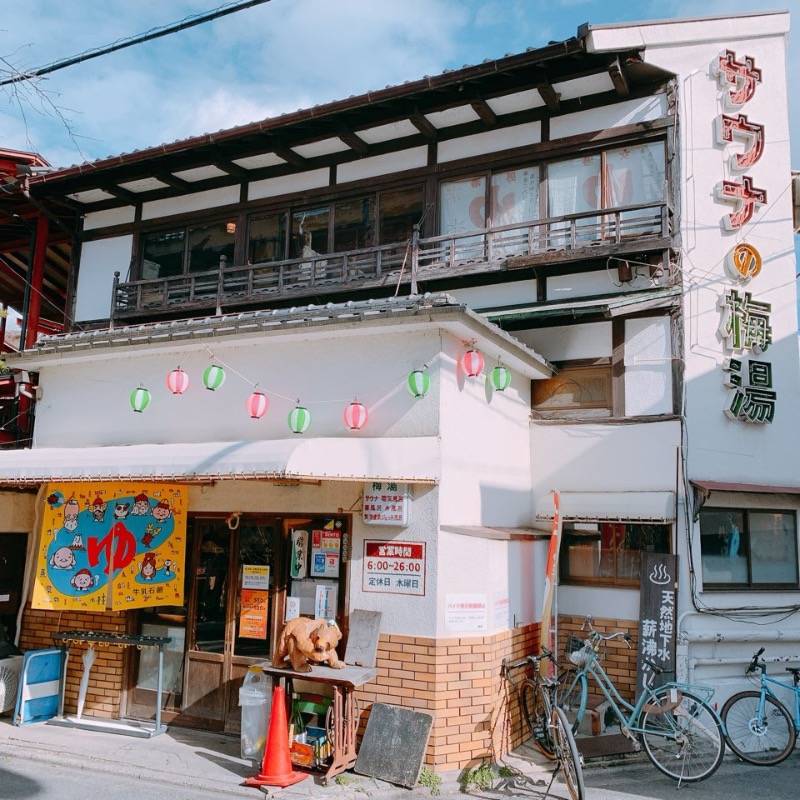 はいのさんのサウナの梅湯のサ活写真