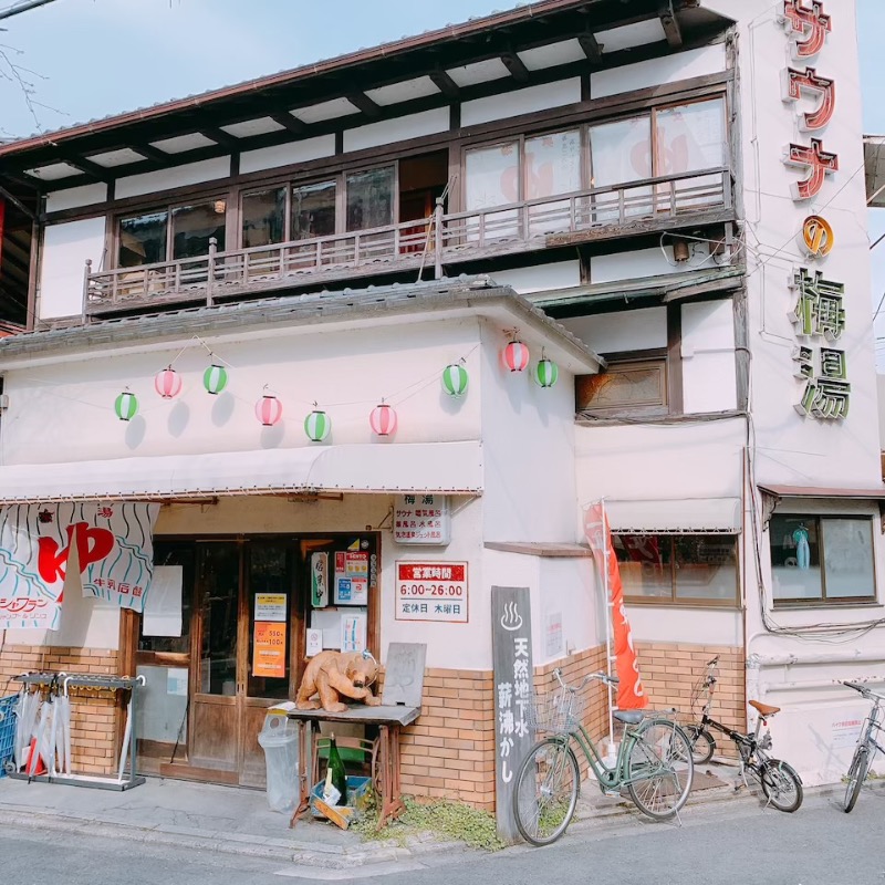 はいのさんのサウナの梅湯のサ活写真