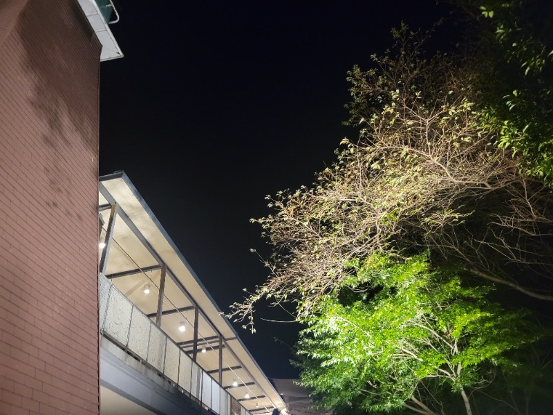 saiさんの天然温泉 本宮の湯のサ活写真