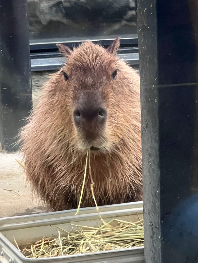 kazzcapy216さんの石狩天然温泉 番屋の湯のサ活写真