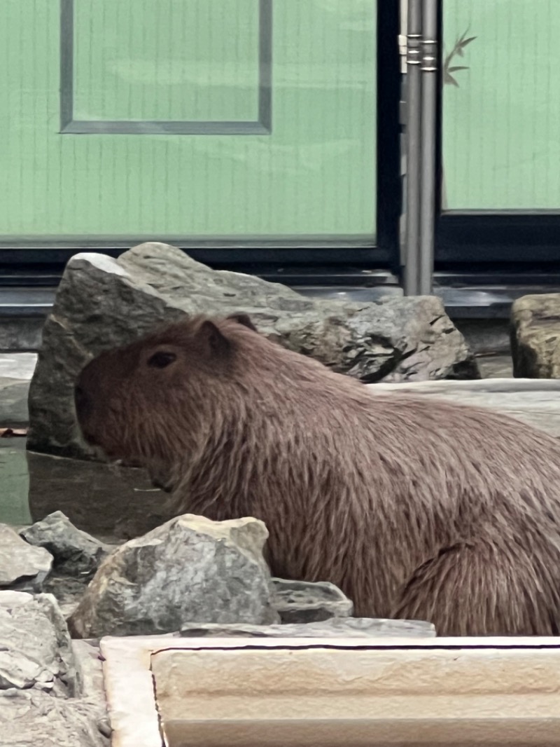 kazzcapy216さんの石狩天然温泉 番屋の湯のサ活写真