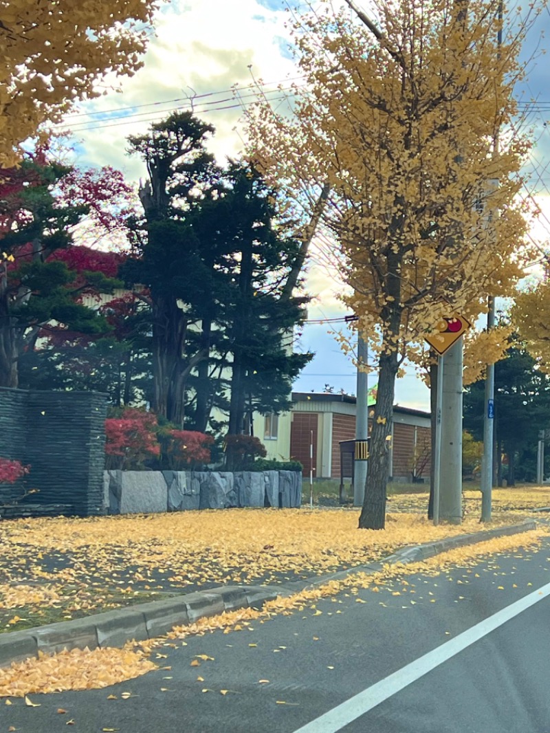 kazzcapy216さんの岩見沢温泉ほのかのサ活写真