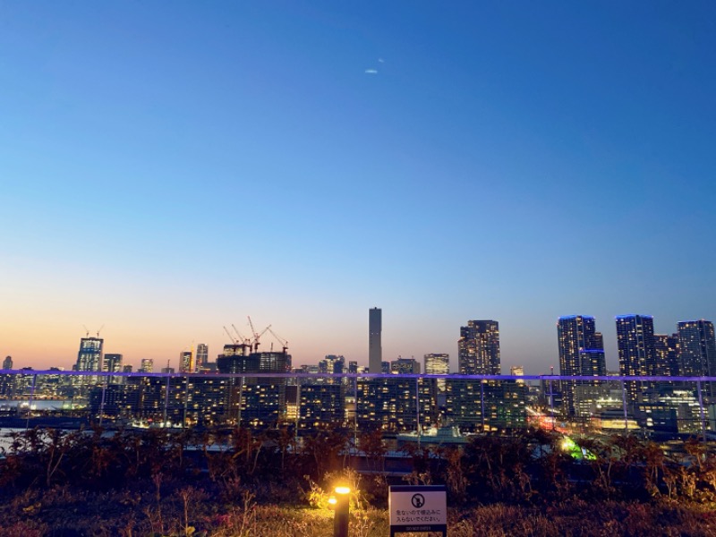 のんこ｡さんの東京豊洲 万葉倶楽部のサ活写真