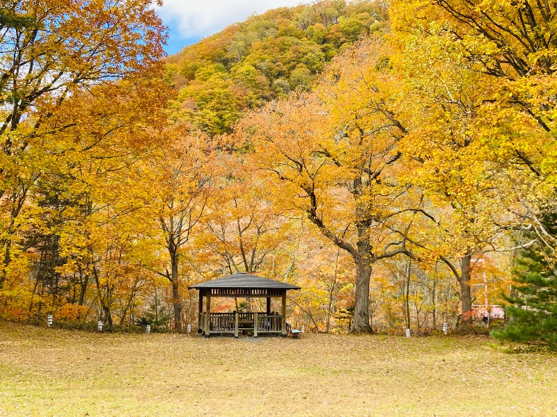 Nさんの福祉の里温泉のサ活写真