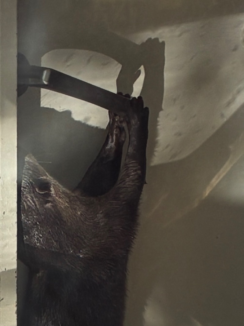 むらかさんのよみうりランド眺望温泉 花景の湯のサ活写真