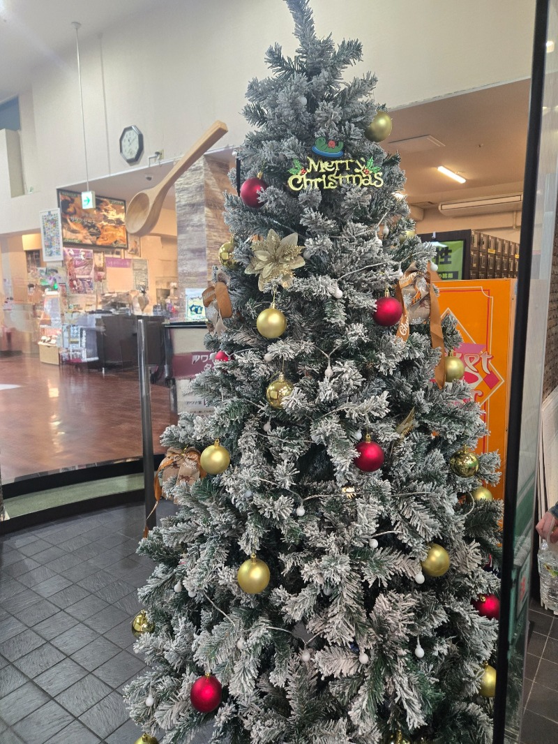 あや.なんでやねんさんの湯乃泉 草加健康センターのサ活写真