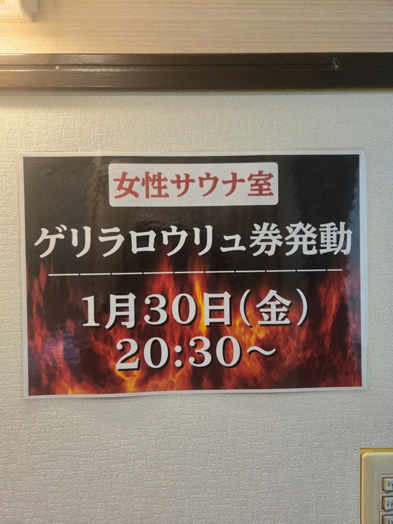 あや.なんでやねんさんの湯乃泉 草加健康センターのサ活写真