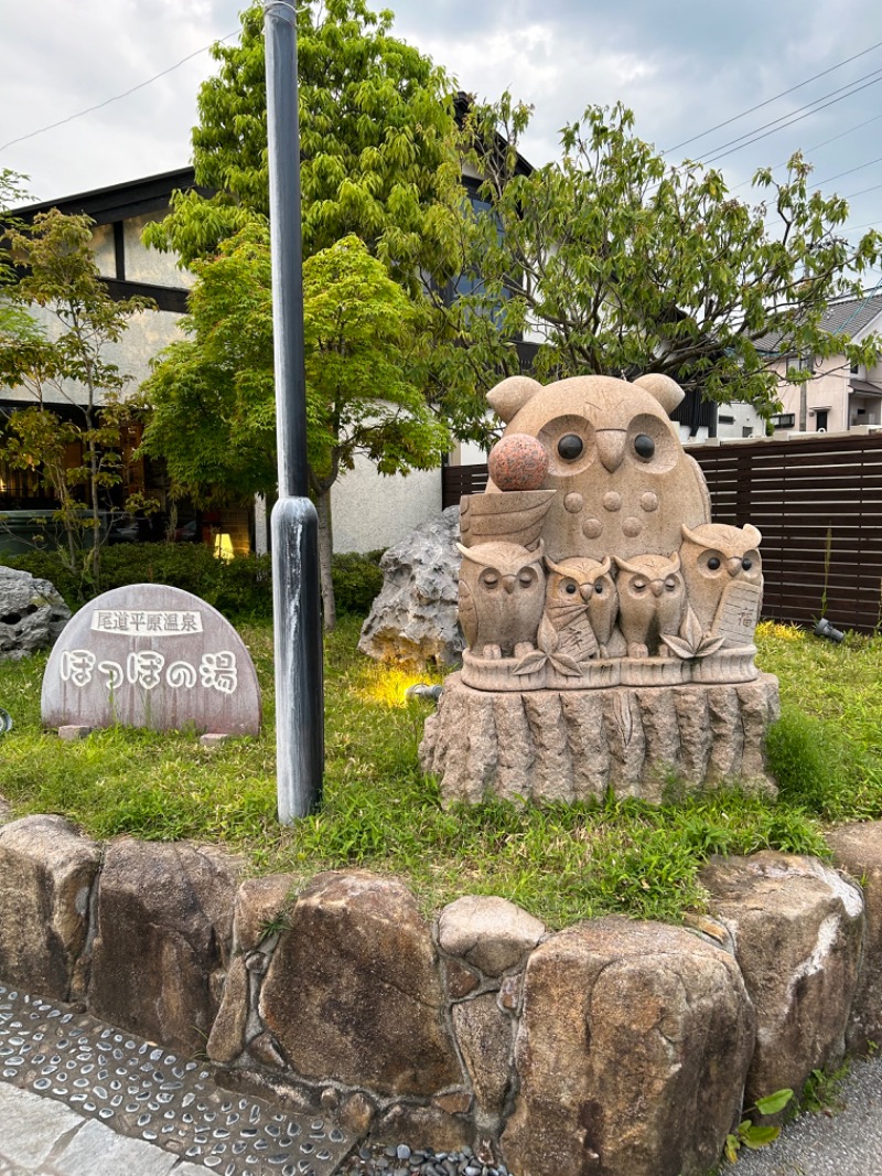 angieさんの尾道平原温泉 ぽっぽの湯のサ活写真