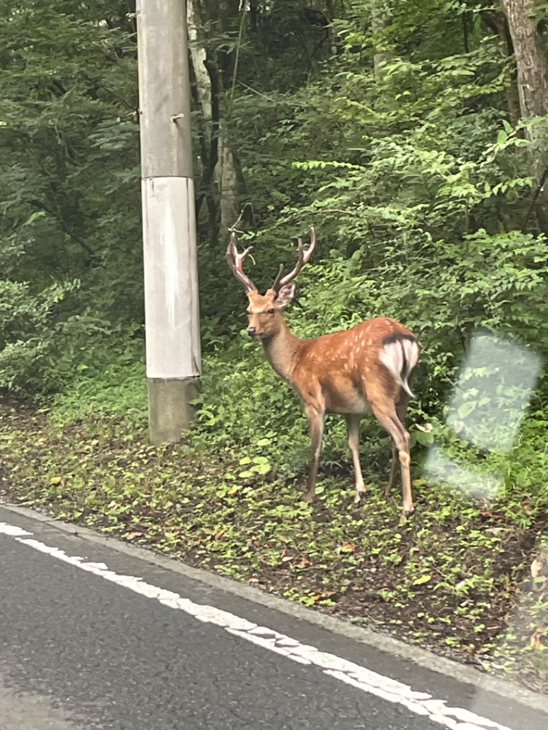 ＡＫＰさんのホテルマウント富士のサ活写真