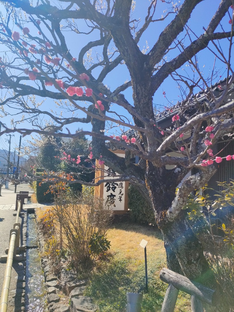 あつのすけさんの山賊サウナのサ活写真