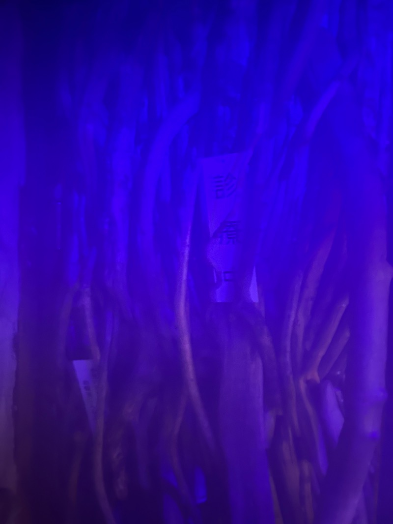 サウナースさんのサウナ発達のサ活写真