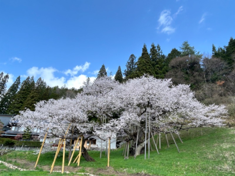 サウナースさんの飛騨高山 自家源泉の湯 臥龍の郷のサ活写真