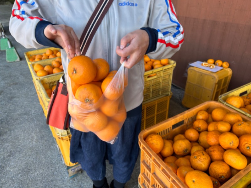 サウナースさんの別府鉄輪温泉やまなみの湯のサ活写真