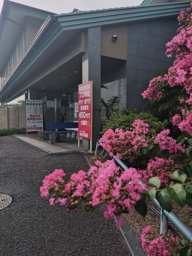 ノンキチさんのあかね温泉のサ活写真