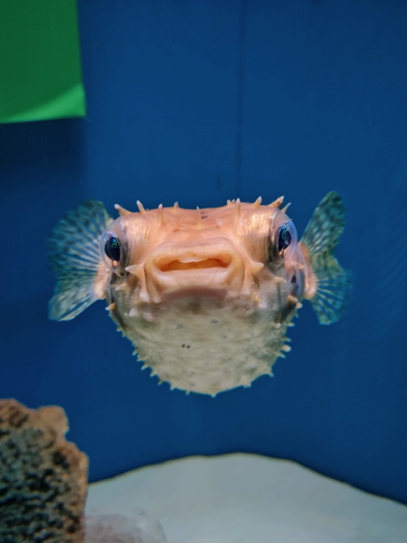 ノンキチさんの博多天然温泉 八百治の湯(八百治博多ホテル)のサ活写真