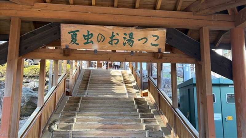 papa lushさんの夏虫のお湯っこのサ活写真