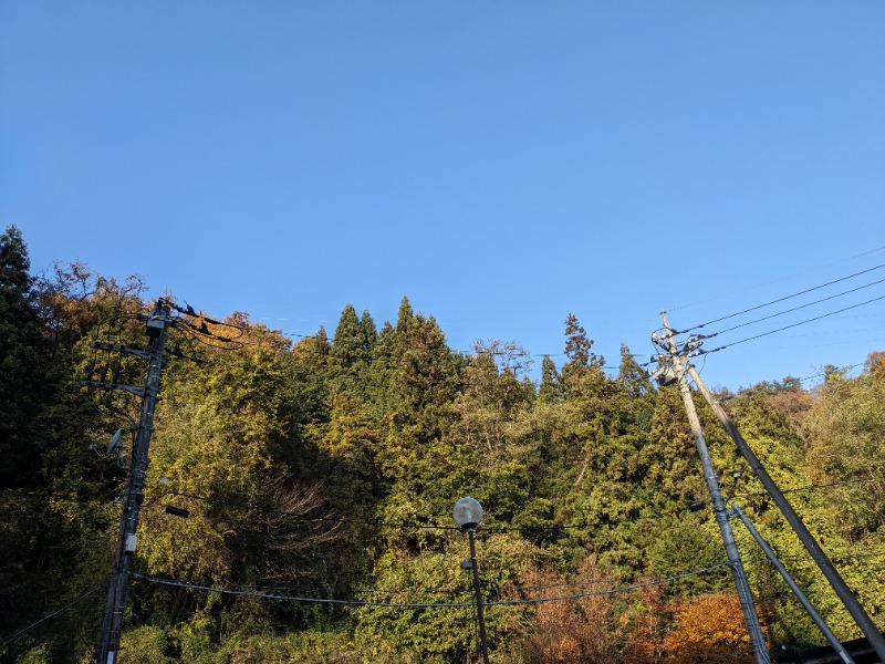 だんなっつるさんのホテル&薬草風呂 スターらんどのサ活写真