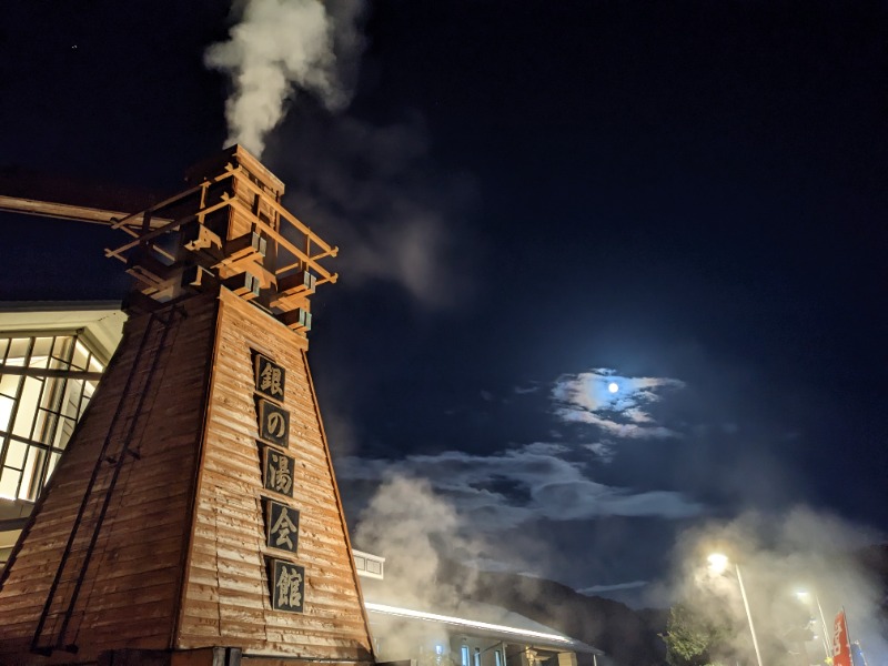 だんなっつるさんの下賀茂温泉 銀の湯会館のサ活写真