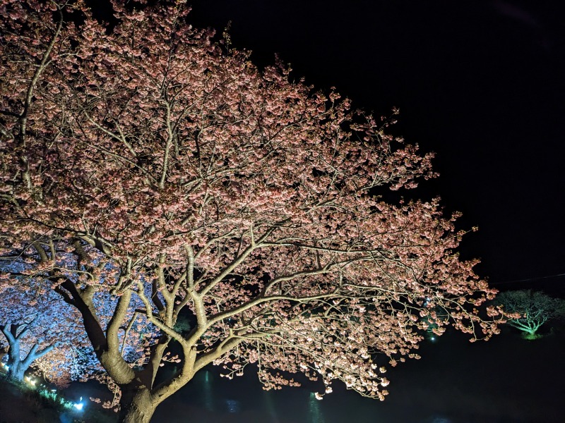 だんなっつるさんの下賀茂温泉 銀の湯会館のサ活写真