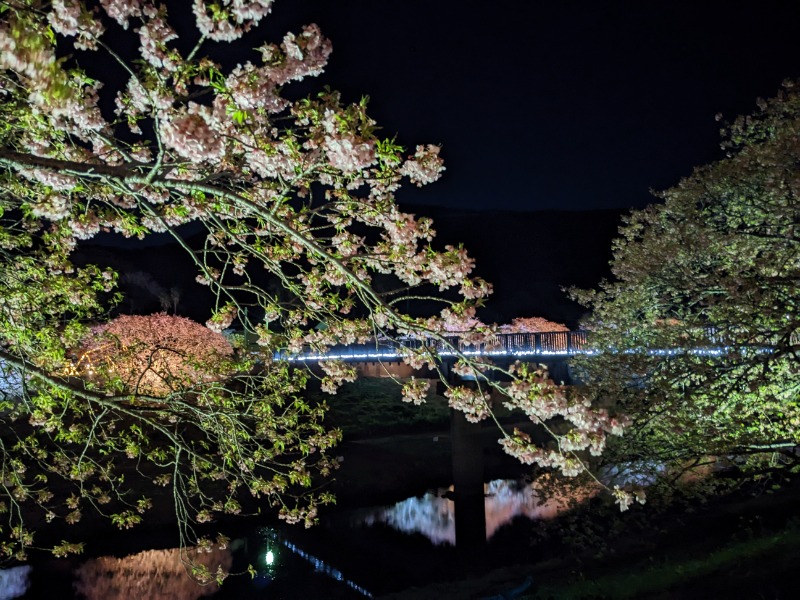 だんなっつるさんの下賀茂温泉 銀の湯会館のサ活写真