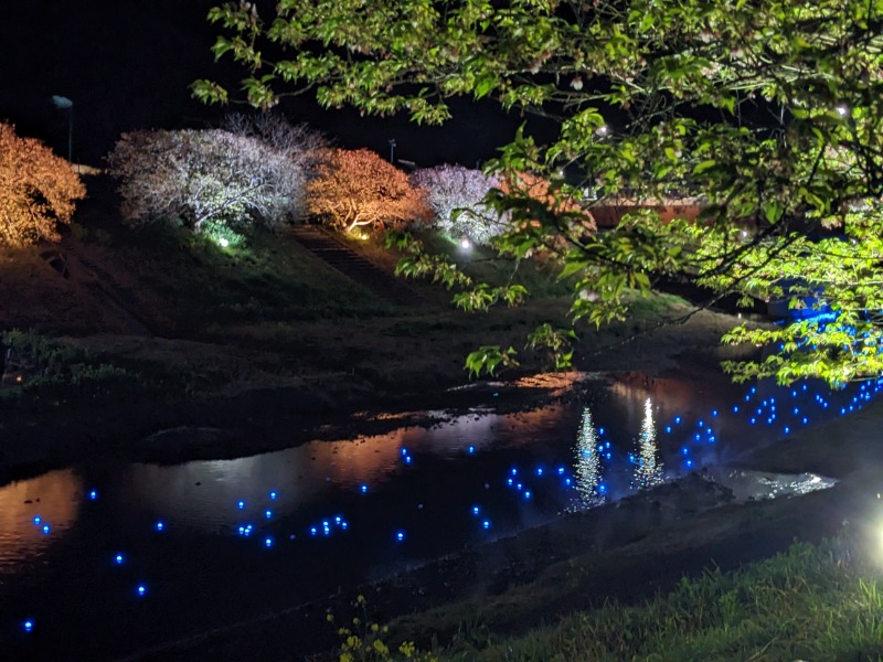 だんなっつるさんの下賀茂温泉 銀の湯会館のサ活写真