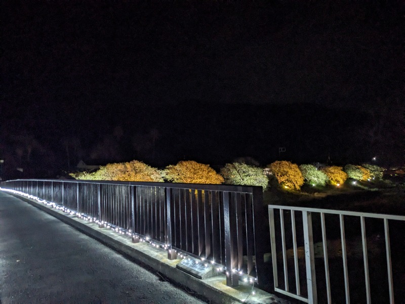 だんなっつるさんの下賀茂温泉 銀の湯会館のサ活写真