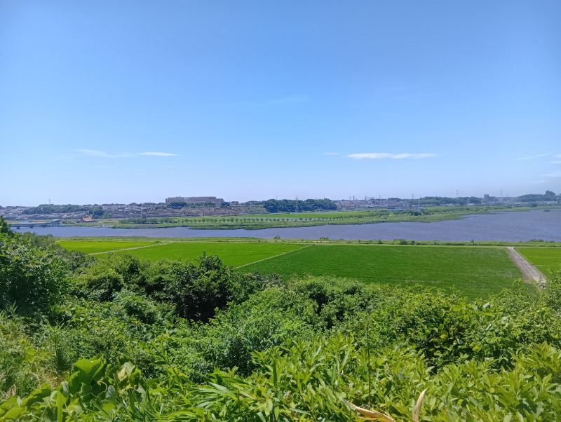 ソルト🦉さんの佐倉天然温泉 澄流(すみれ)のサ活写真