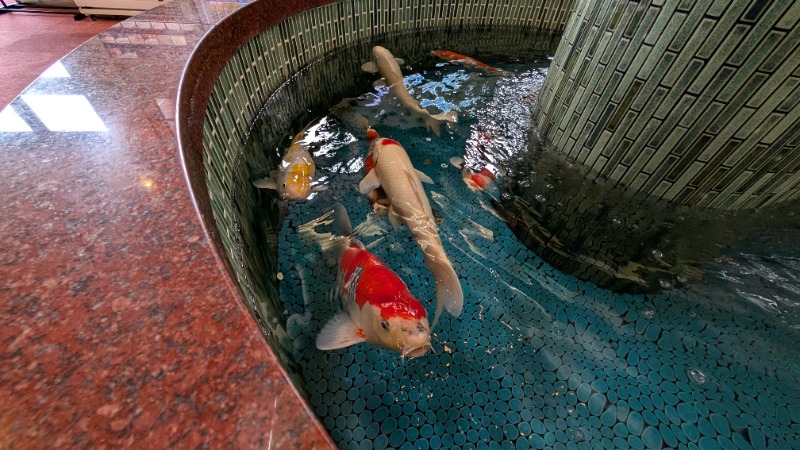 ヒロキさんの夢の公衆浴場 五色のサ活写真