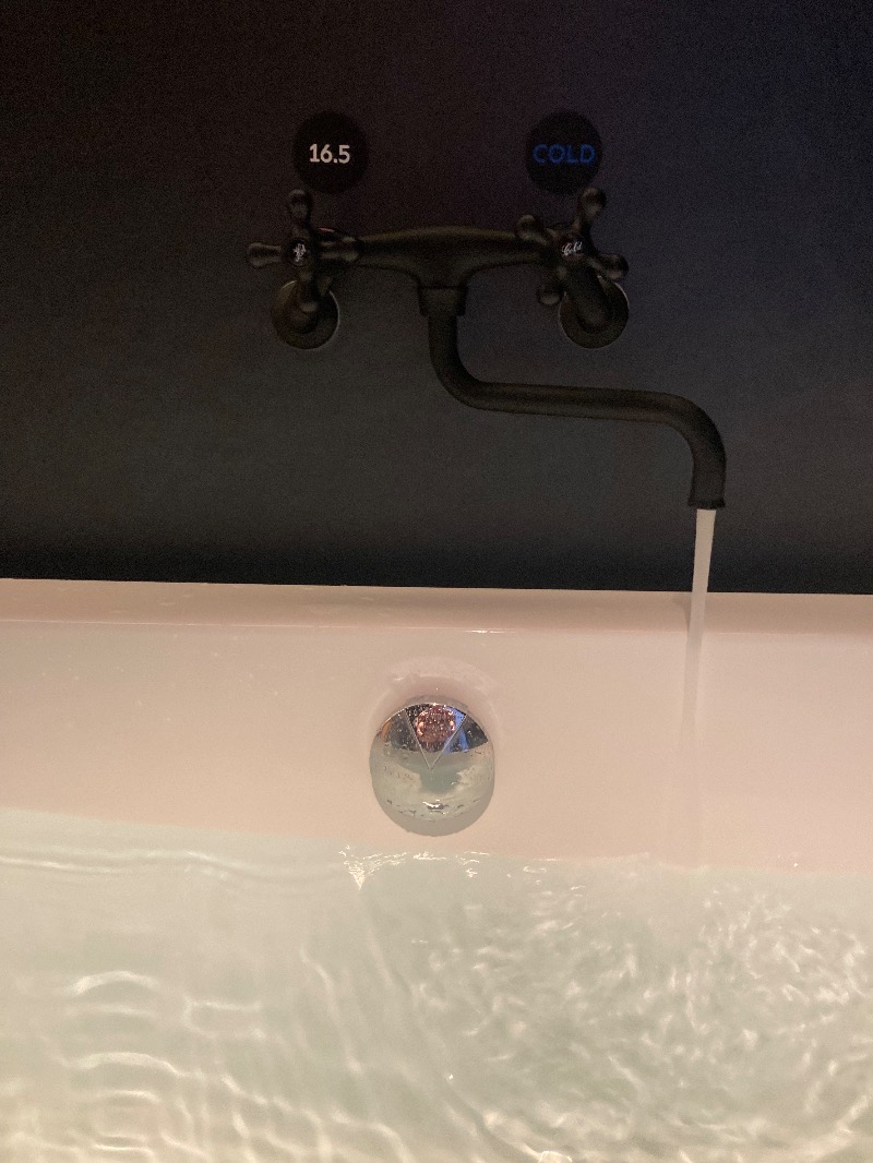 ありくろさんのRyokan & Sauna  Yorozuya Hitaのサ活写真