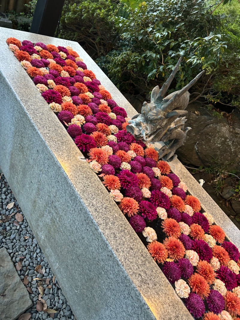 ずみりんさんのよみうりランド眺望温泉 花景の湯のサ活写真