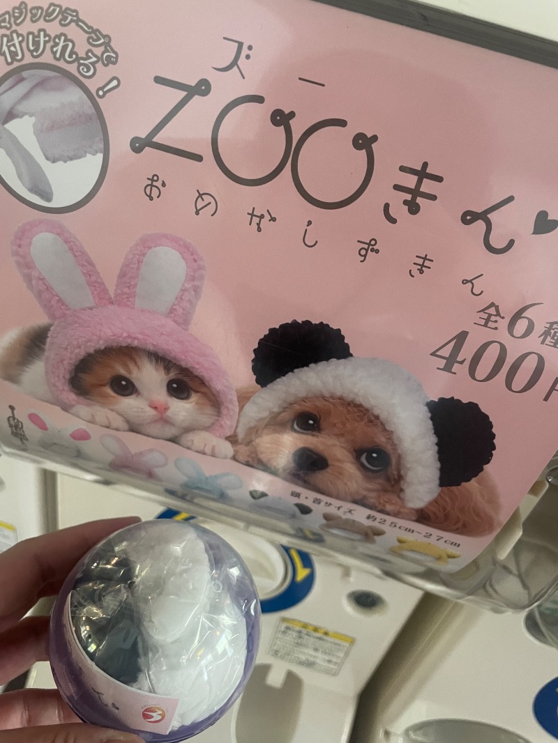 ねこの親さんのながぬま温泉のサ活写真
