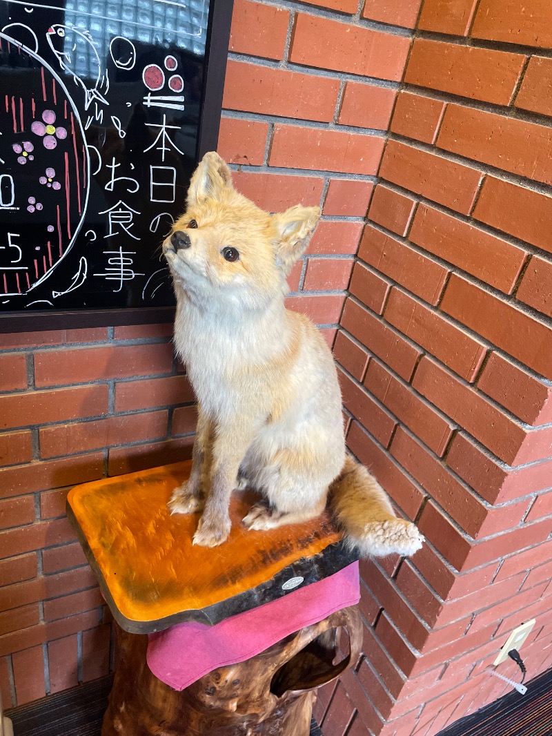 ねこの親さんのいわない高原ホテルのサ活写真