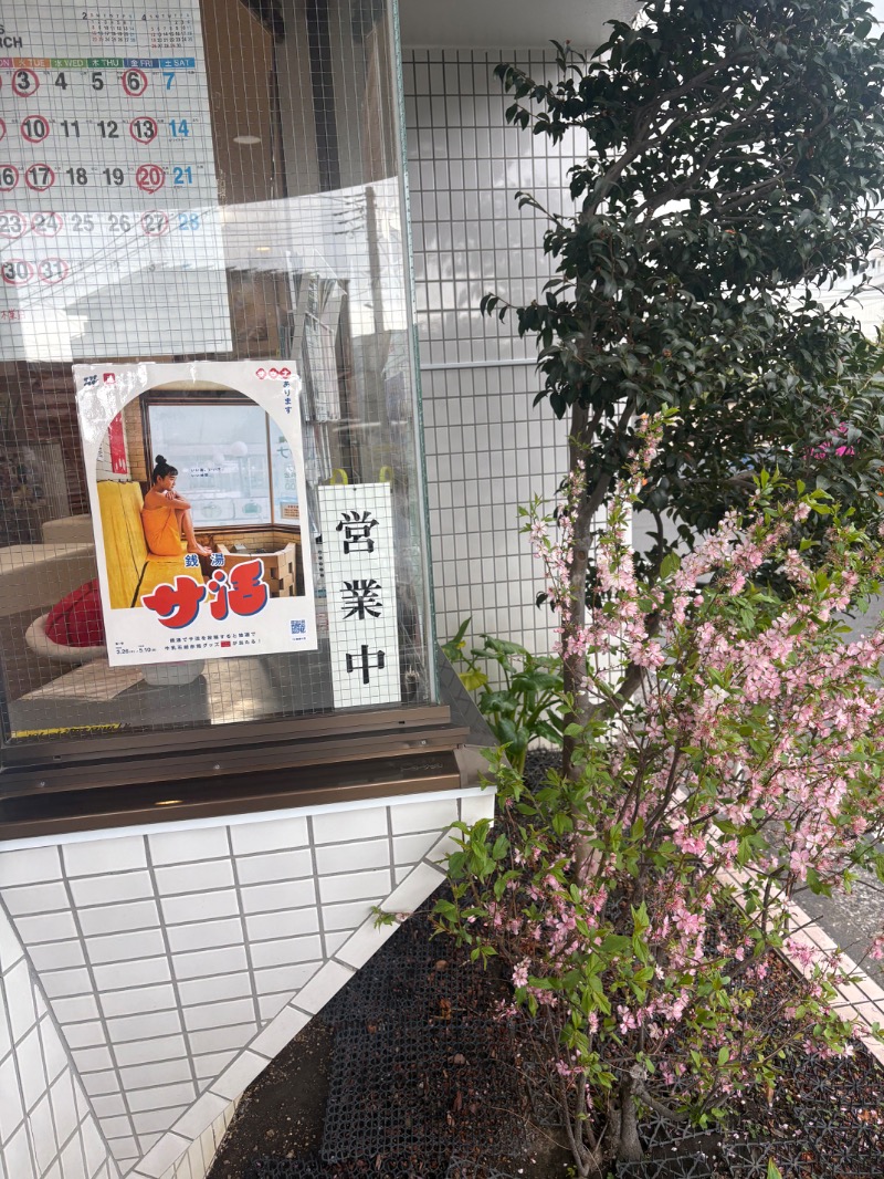 Sabeginnerさんの亀遊舘のサ活写真