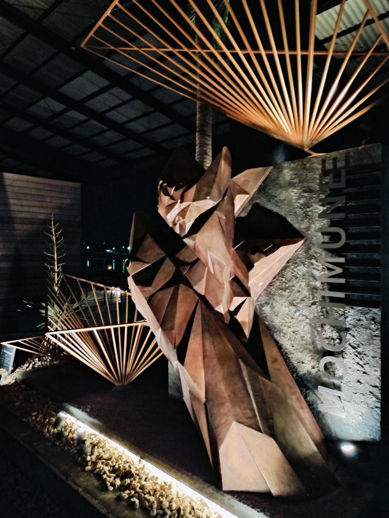 Hahahahaijiさんの用宗みなと温泉のサ活写真